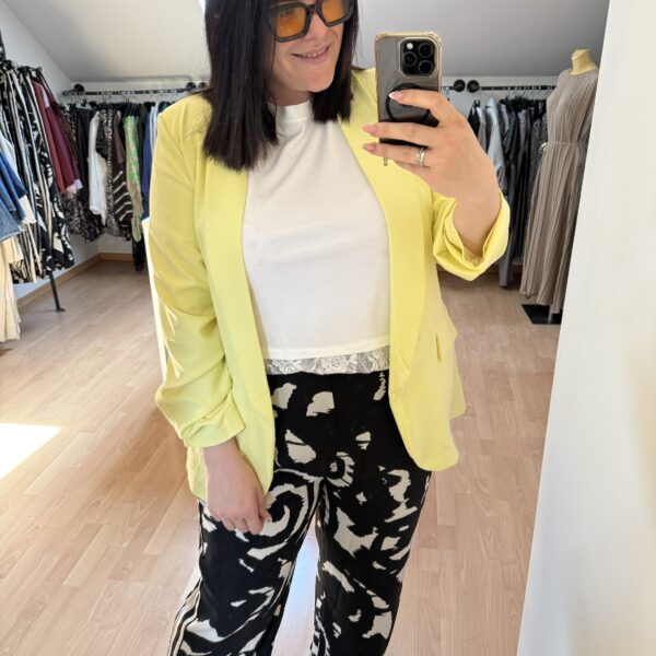 Blazer 0413